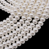 glass rondelle pearl beads in 6x8mm