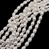 glass rice pearl beads in 8x11mm