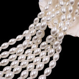 glass rice pearl beads in 8x11mm