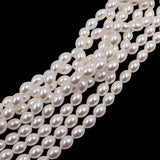 glass rice pearl beads in 6x8mm