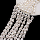 glass rice pearl beads in 6x8mm