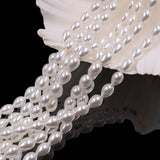glass tear drop pearl beads in 6x9mm